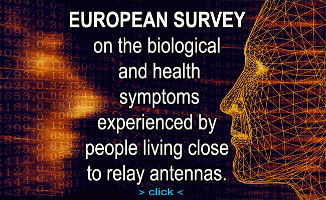 European Survey_Uk Version